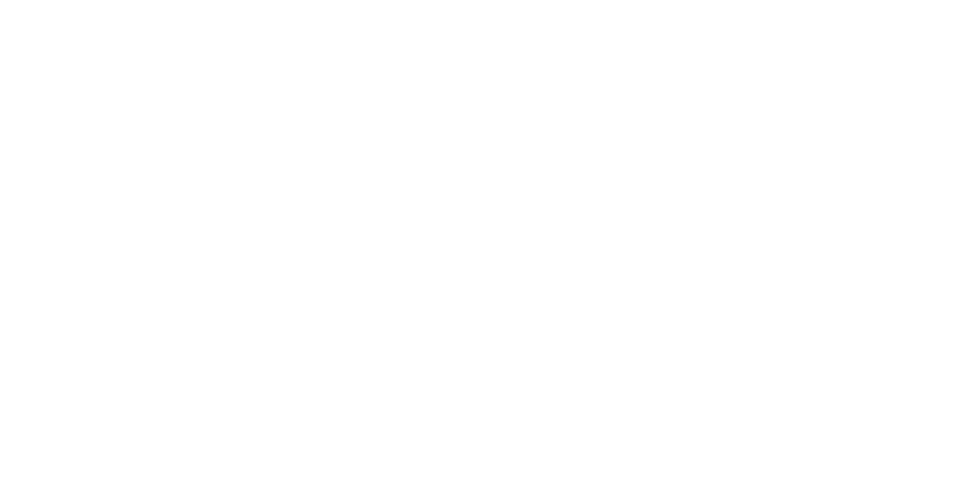 Projecto